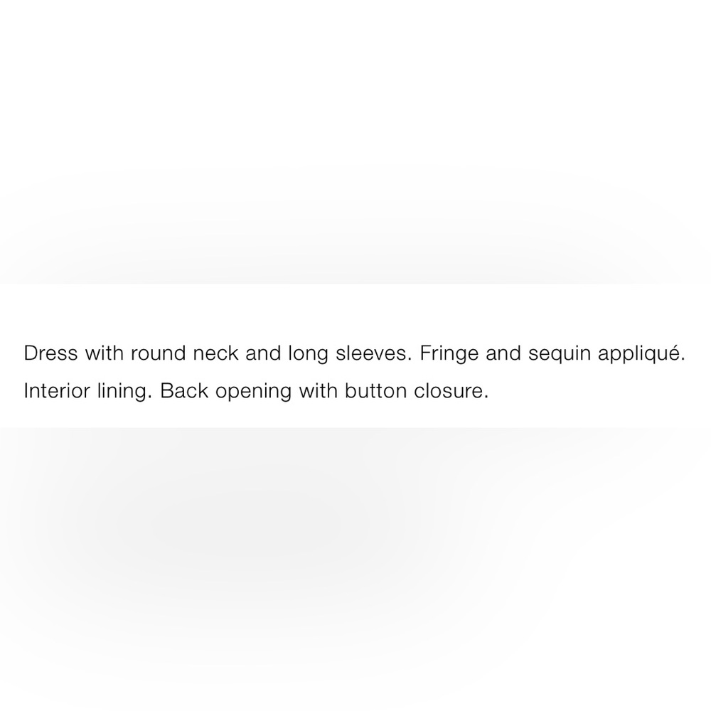 NWT Zara Sequin Fringed Mini Dress - Picture 9 of 9